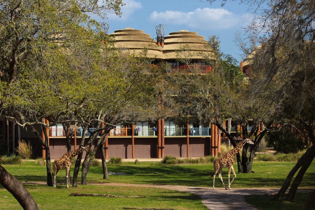 Animal Kingdom Lodge - Kidani Village - Savanna