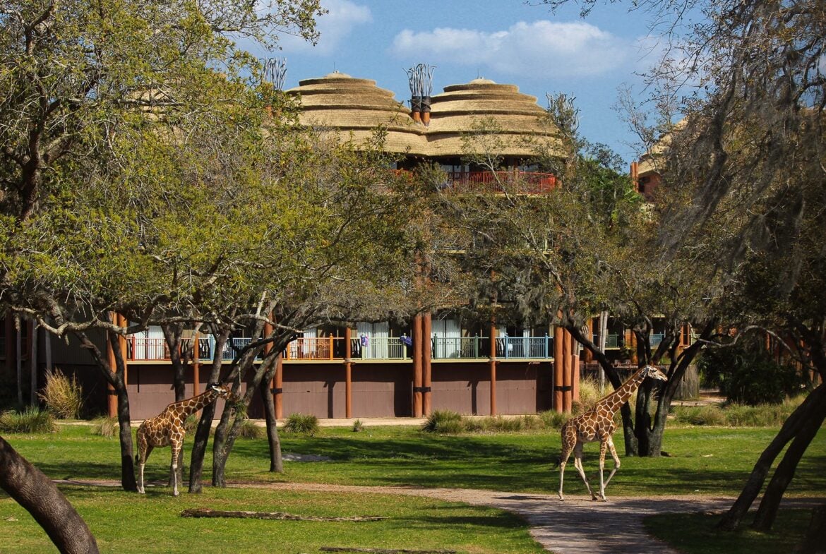 Animal Kingdom Lodge - Kidani Village - Savanna