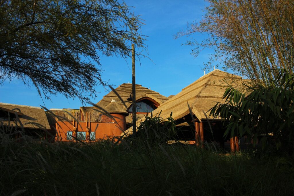 Animal Kingdom Lodge - Jambo House - DVC Points For Sale and Rent | Disney Vacation Club Resales