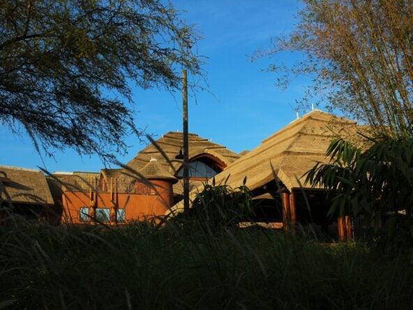 Animal Kingdom Lodge - Jambo House - DVC Points For Sale and Rent | Disney Vacation Club Resales