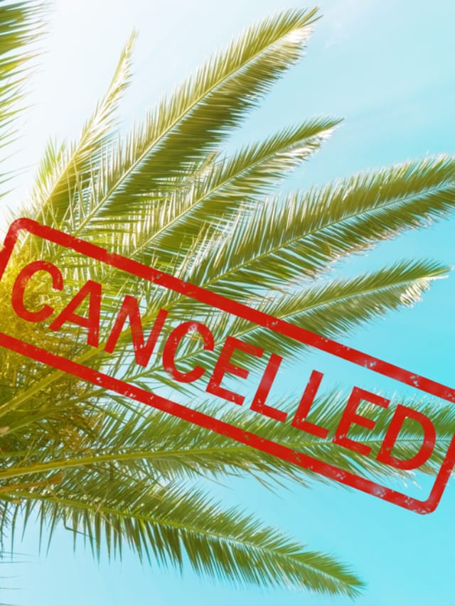 Timeshare Cancellation Companies: What You Need to Know | Timeshares Only