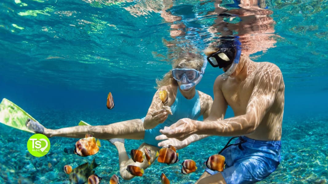 10 Destinations For The Best Snorkeling In The Caribbean | Timeshares Only