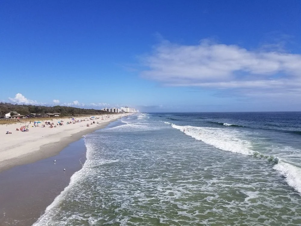 Myrtle Beach State Park Best Places to Visit in June Near the Hurricane Belt