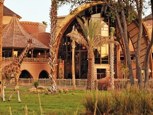 disney's animal kingdom villas exterior timeshare rentals near universal orlando