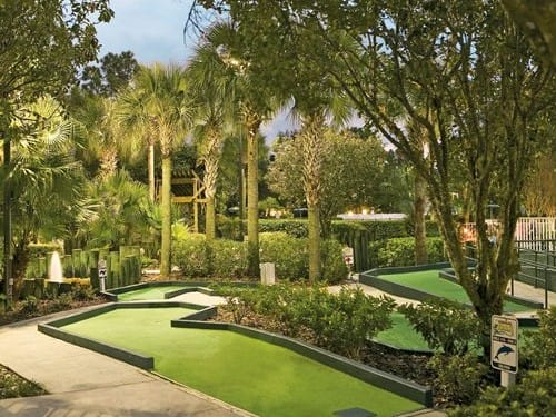 sheraton vistana resort mini golf timeshare rentals near universal orlando