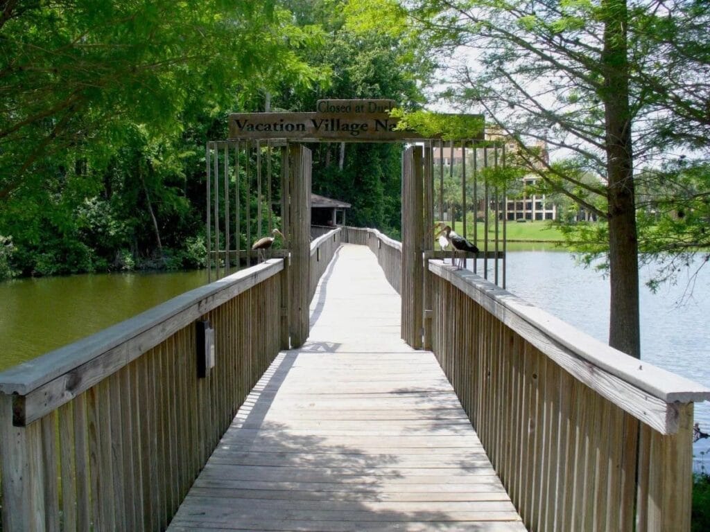 nature trails at vacation village at parkway