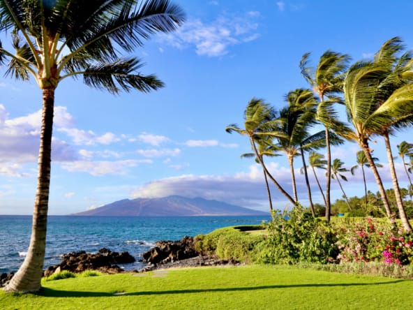 Aloha Hawaii Tours Maui