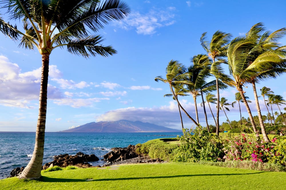 Aloha Hawaii Tours Maui