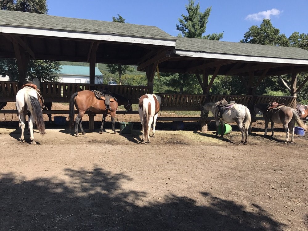 horse stables