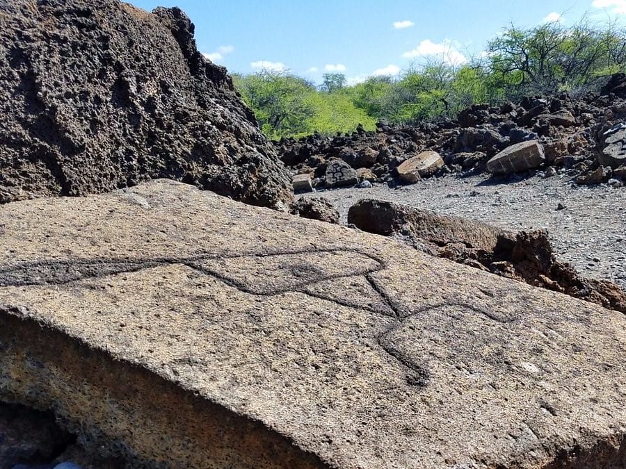 puako petroglyph preserve