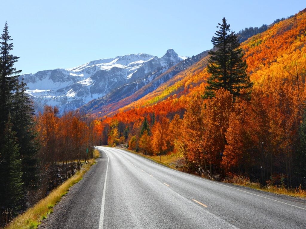 colorado road with foliage