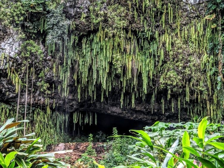 fern grotto near marriott vacation club hawaii