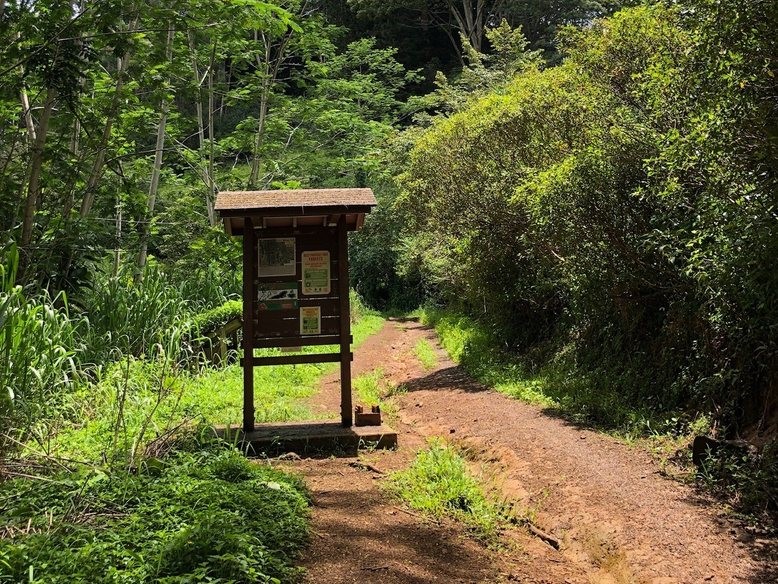 Kuilau Ridge Trail