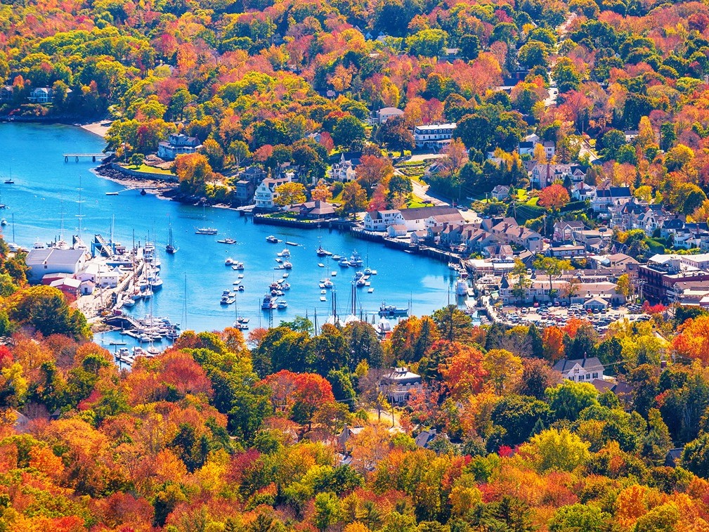 maine harbor