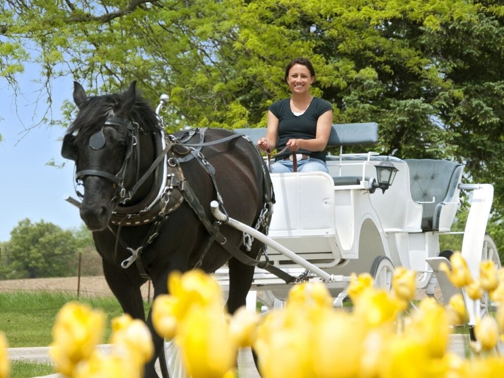 Lake Geneva Resort carriage rides