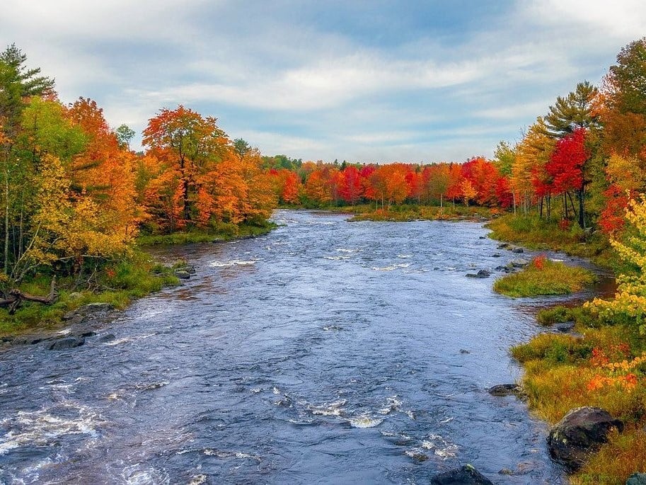 bar harbor foliage