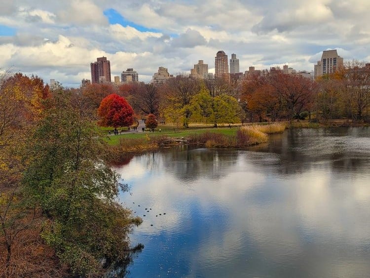 nyc central park