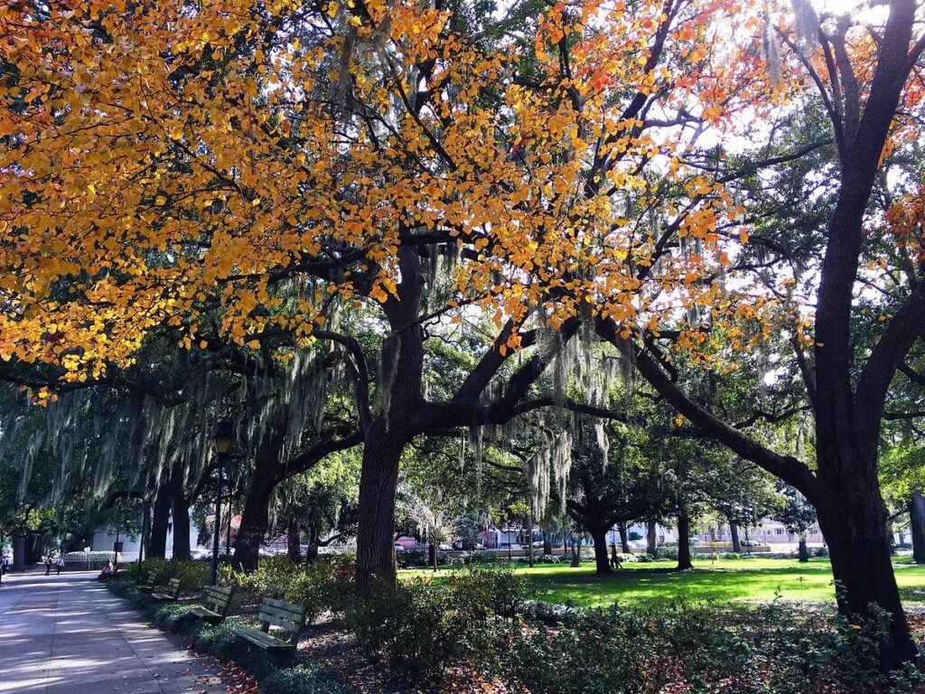 savannah forsyth park fall getaways