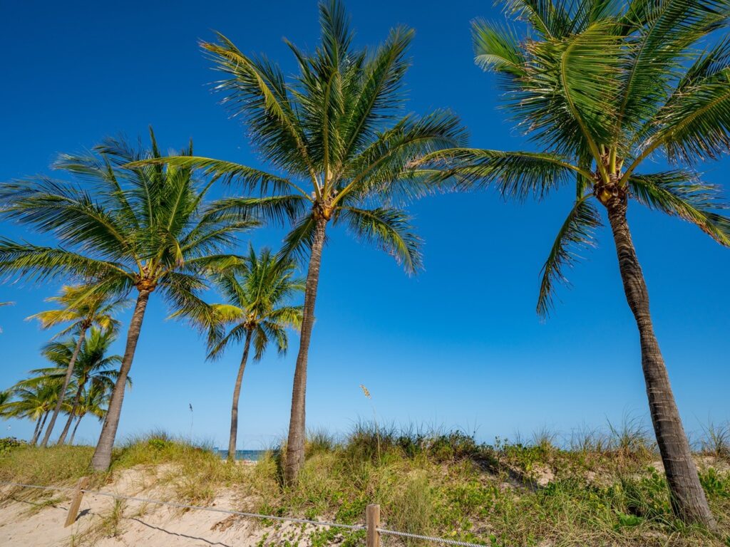 Fort Lauderdale Beach