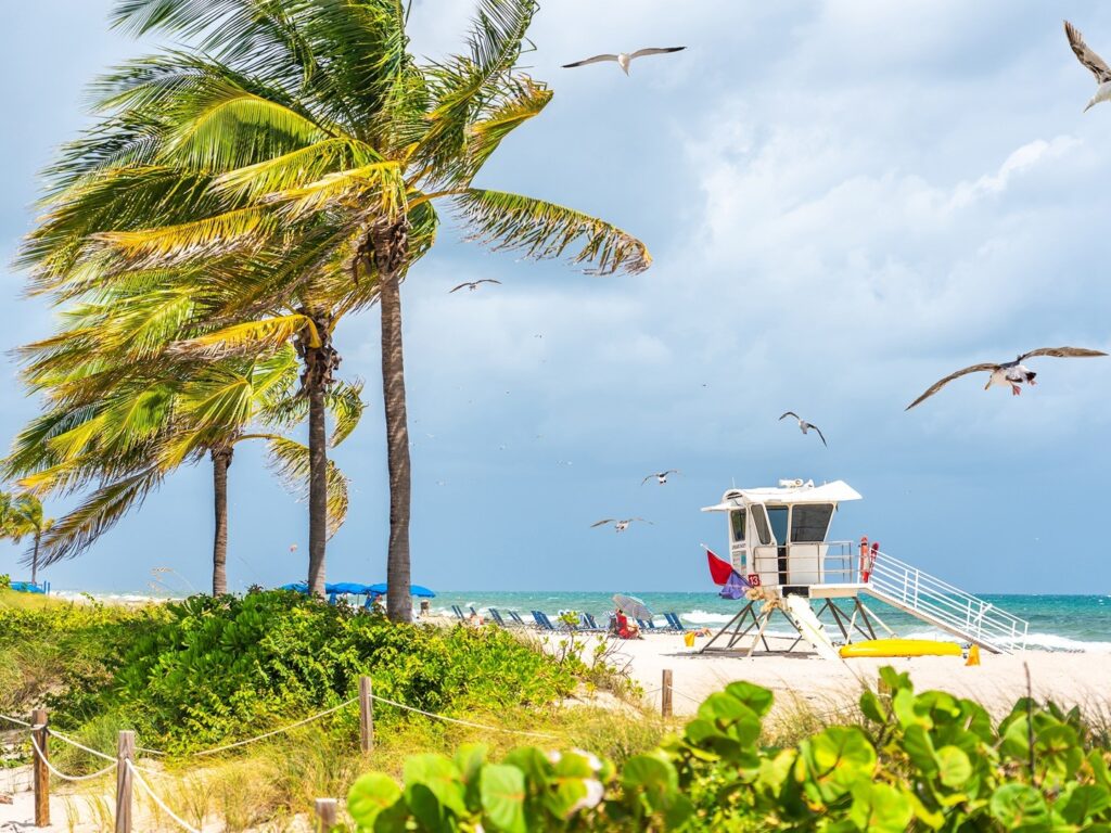 Fort Lauderdale Beach Area