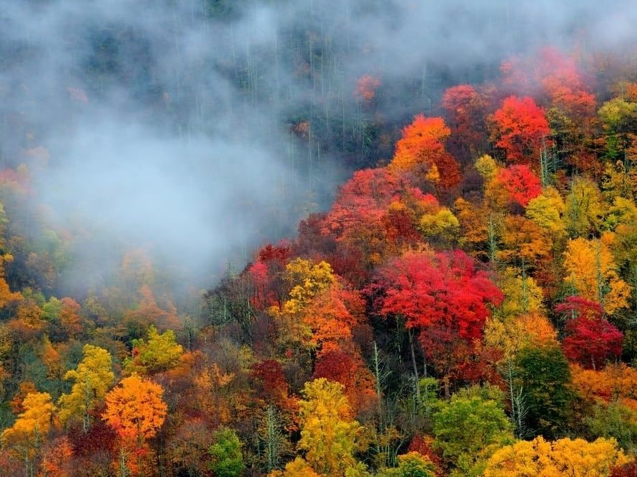 fall foliage getaways smokies