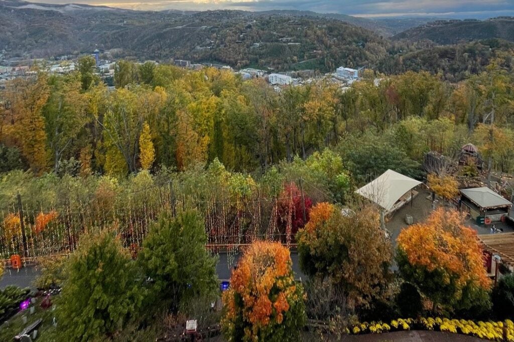 Anakeesta Amusement Park nature