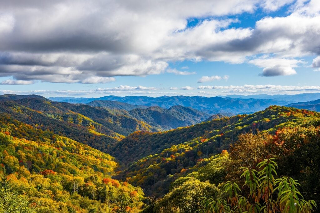 Smoky Mountain National Park for family fun