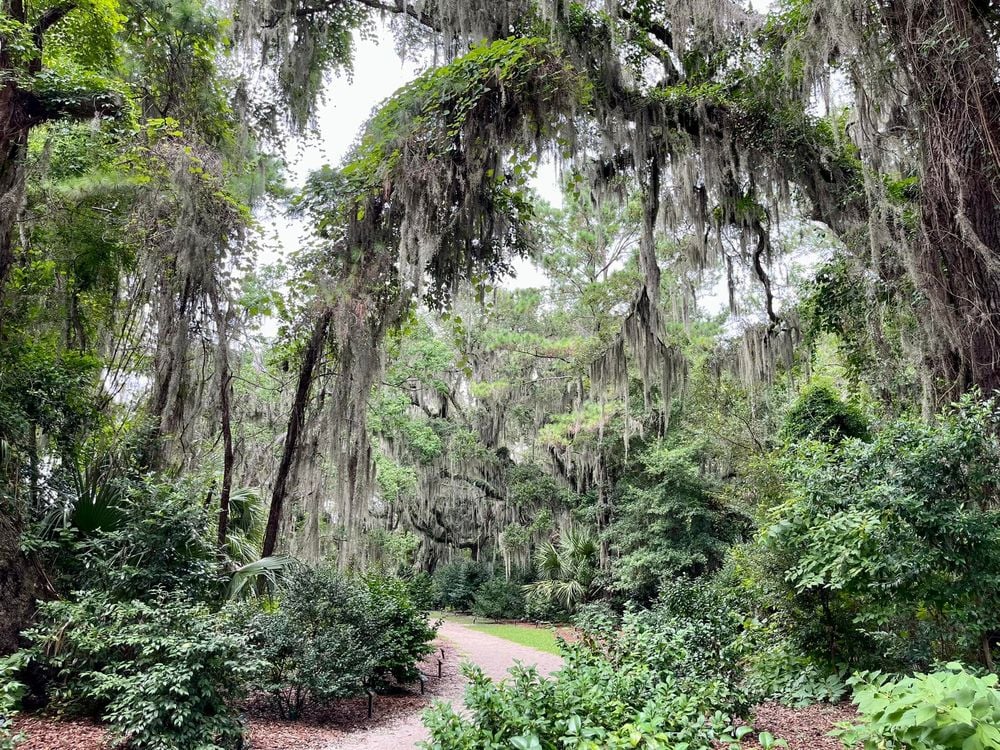 Coastal Discovery Museum hiking trail; things to do in hilton head