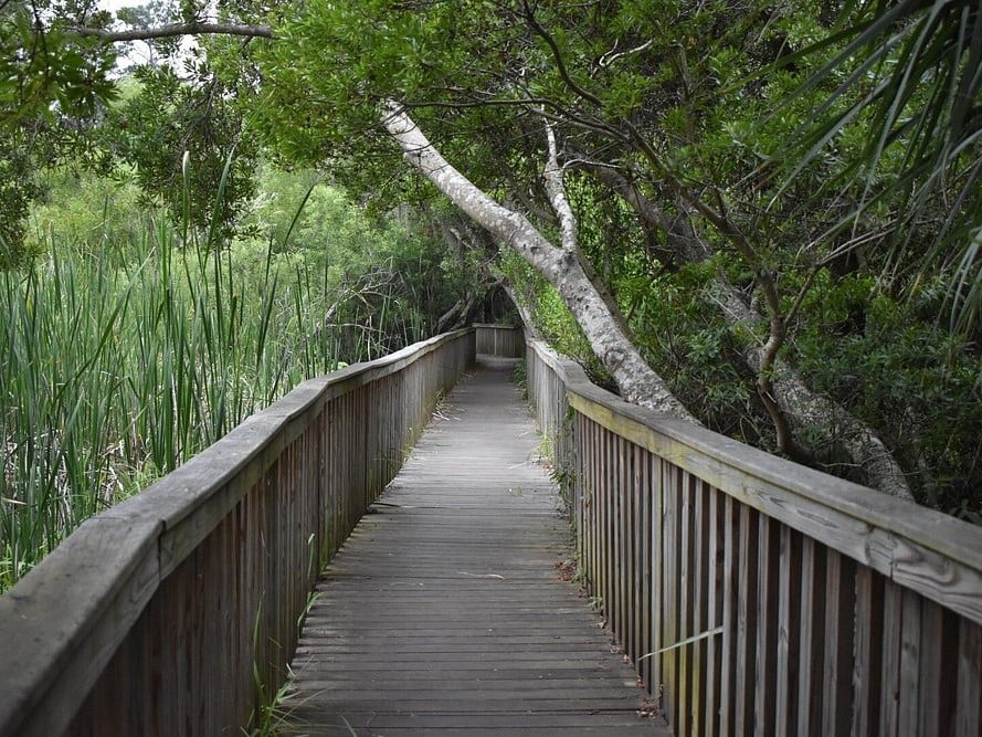 Sea Pines Forest Preserve hiking trail; things to do in hilton head