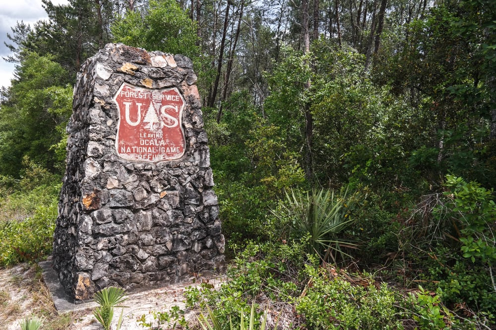 Ocala National Forest Sign