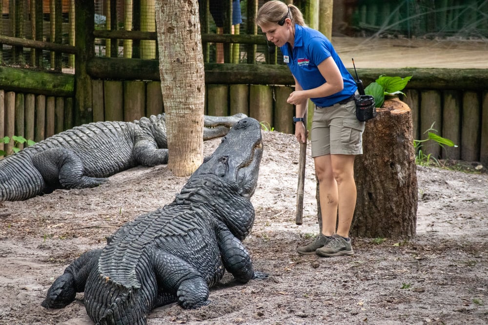 Best Family Beach Vacations: St. Augustine Alligator Farm