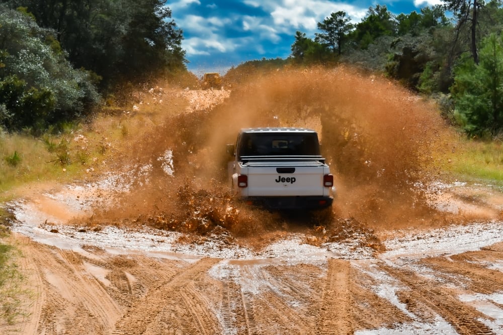 Ocala National Forest Off-Roading